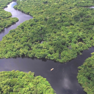 Amazônia Projeto Legado 2022