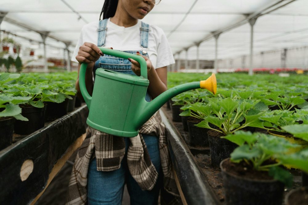 BioCidades Empreendedoras